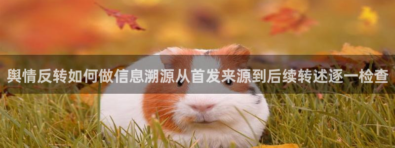 最新黑料原始来源