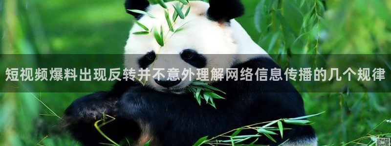 最新黑料事件始末