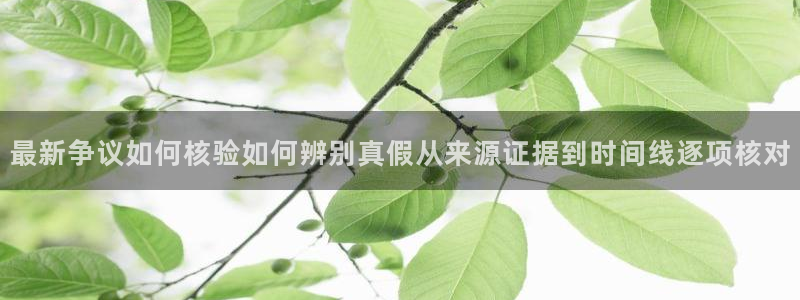 最新黑料完整时间线