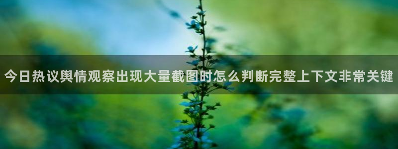 网络黑料完整时间线