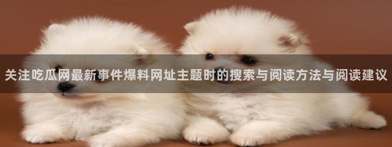网红黑料真伪核验